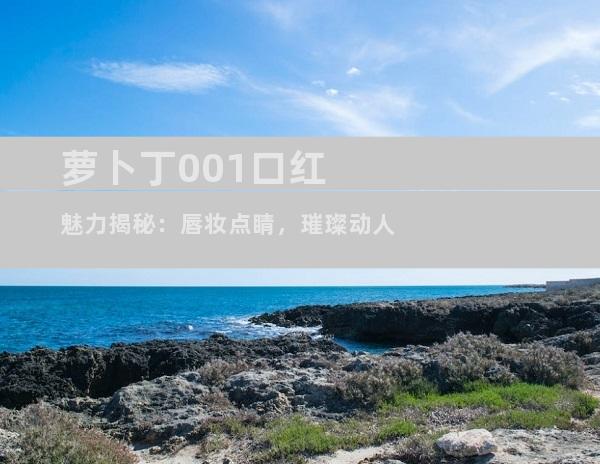 萝卜丁001口红魅力揭秘：唇妆点睛，璀璨动人