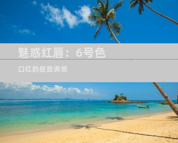 魅惑红唇：6号色口红的极致诱惑